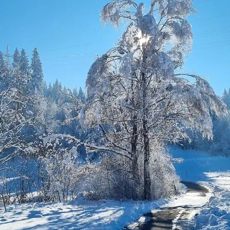 Werdenfels Aparthotel Murnau am Staffelsee