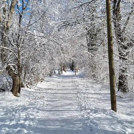 Werdenfels 3* Murnau am Staffelsee