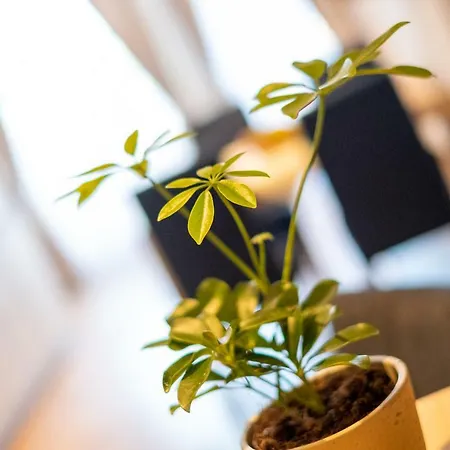 Werdenfels 4* Murnau am Staffelsee